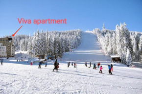 Viva apartment in hotel Stenata Pamporovo on the ski slopes Pamporovo